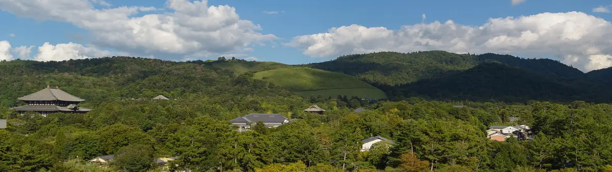 Wakakusayama and Nara Park from above
